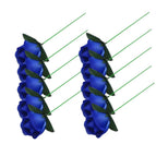 B10PCS