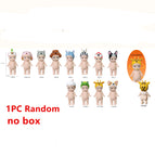 1PC random no box D