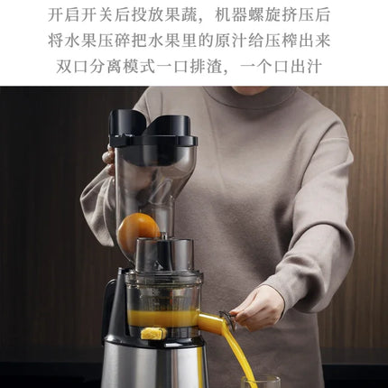 220V Xilanpu Stainless Steel Juicer with Pulp Separation Multi Function Large Mouth Automatic Juice Extractor DW