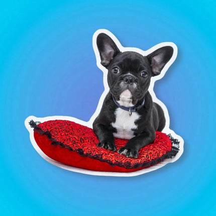 3-8CM Custom Shape Stickers – 50-1000PCs Personalized Logo, Waterproof, Perfect for Bottles/Art Activities. Ideal for Kids & Biz