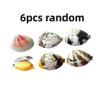 6pcs random