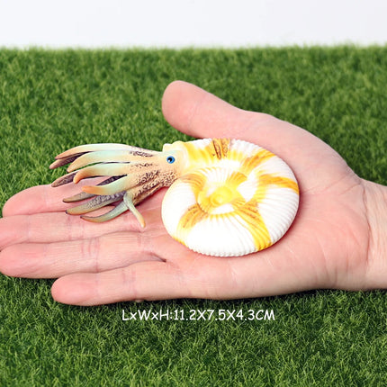 Simulation Marine Mollusc Plastic Model Figures Nautilus Ammonite Squid Octopus Figurine Sealife Animal Educational Toy For Kids