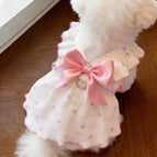 Pink / M