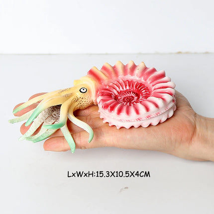 Simulation Marine Mollusc Plastic Model Figures Nautilus Ammonite Squid Octopus Figurine Sealife Animal Educational Toy For Kids