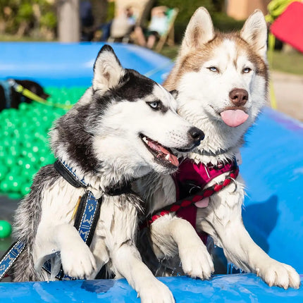 Hot Sale Large PVC Pet Airblow Water Pool Indoor Outdoor Dog Inflatable Swimming Pool for Summer