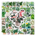 60pcs / China Mainland