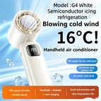 DS27White