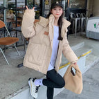 Khaki / L