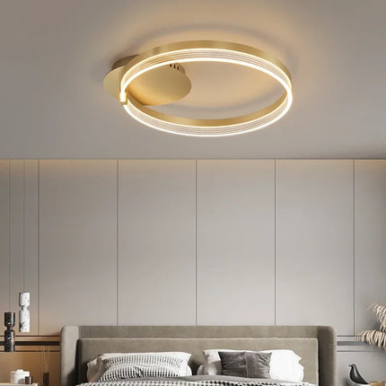 Nordic home decoration salon bedroom decor led lamp Ceiling lights for room lamps for living room indoor lighting lamparas