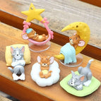 5pcs