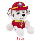 Marshall / 19cm
