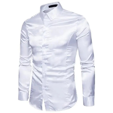 Amazon Spring Autumn Men's Long Sleeve Shirt Casual Fashionable Shiny Interior Top Men's European Style Foreign Trade Shirt