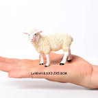 sheep-4
