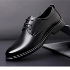 44 / Black p69