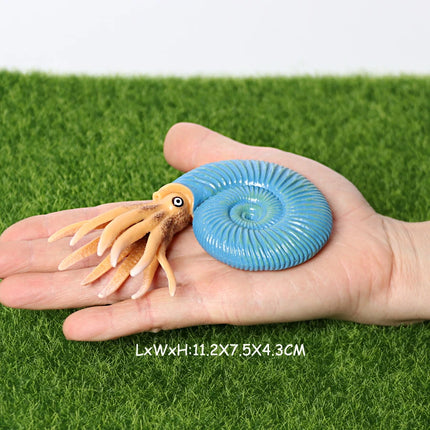 Simulation Marine Mollusc Plastic Model Figures Nautilus Ammonite Squid Octopus Figurine Sealife Animal Educational Toy For Kids