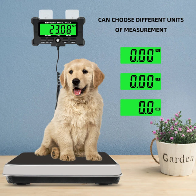 Industrial Trade Scale 200kg / Balance Industrielle 200kg