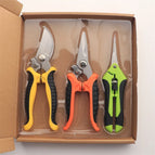 Yellow Orange Green