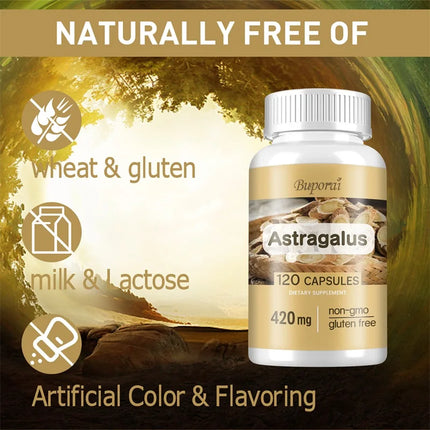 Astragalus - Supports Digestive Health, Promotes Overall Well-being and Relieves Stress Supplement