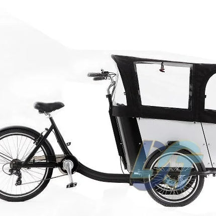 Electric Cargo Bicycle Cargo Bike Used for Family 3 Wheel Bike to Carry Kids