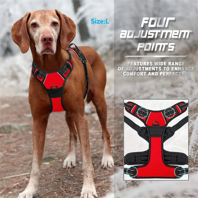 Dog Collars Harnesses Large Vests Leashes Pet Shop Everything for Dogs Leather Puppy Accessories Medium Small Set