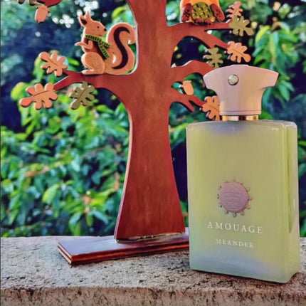 Men’s Eau De Parfum Long Lasting 100ml Aromatic Woody Fragrance with Fresh Warm Clean Notes and Refined Masculine Elegance