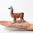 Alpaca A