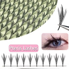 Pteris Lashes 120pcs / C / 0.07mm|8mm