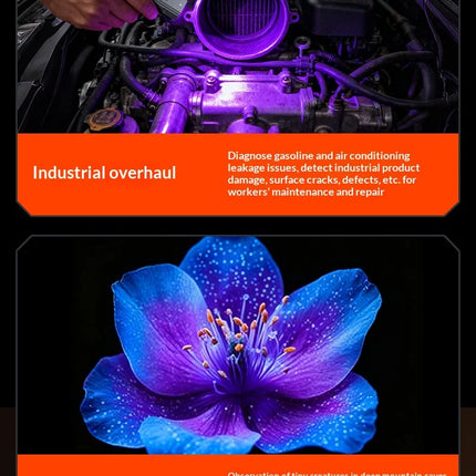 Philips New Flashlight 600LM Supports 3 Type Dimming UV light, Red Laser, 365nm Purple Light, COB,Magnetic Function with a Clip