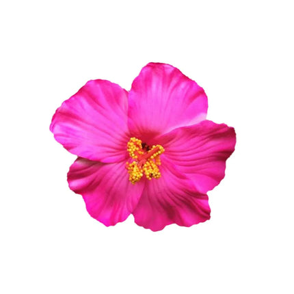 Foam Flower Hair Clips Hawaiian Plumeria Hibiscus Flower Barrettes Bridal Hairpins Colorful Rose Hairpin Jewelry Summer Beach