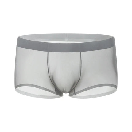 Ice Silk Transparent Boxer Shorts For Man Seamless Ultra-Thin Male Underpants Sexy Quick Dry Bulge Penis Pouch Panties Underwear