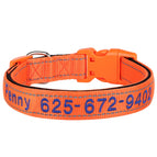 Orange / XL