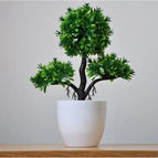 yingkesong green