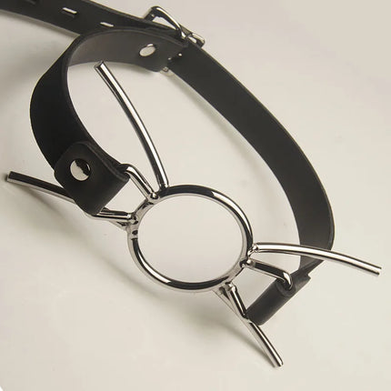 Stainless Steel Open Mouth Spider Gag Ball ,Head Harness Ball Gags Restraint,Adult BDSM Toys