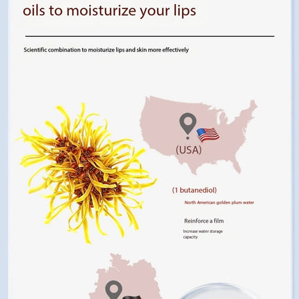German chamomile lip oil, lightweight and moisturizing, double moisturizing and caring for lips, autumn and winter lip care