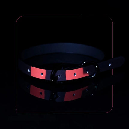 New Thermal Gradient Collar for BDSM Training Neck Restraint Fashion Sexy Y2K Versatile Sexy Accessories for Women Adult Sex Toy