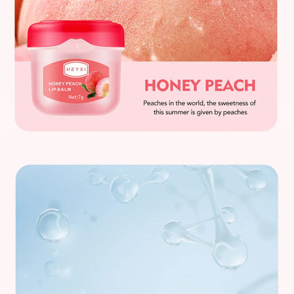 4/6/8pcs Fruit Series Lip Balm Set Sleeping Lip Mask Moisturizing Hydrating Non-sticky Anti-Cracked Lip Balm Lips Care