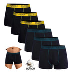 6pc--W7-7 / S