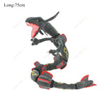 Rayquaza B