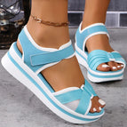 Lightblue / 43