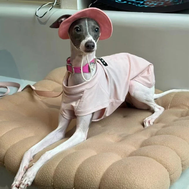Summer Little Greyhound Sunscreen Hat Outdoor Hat Ear Holes Adjustable Cap for Whippet Breathable Cool Hat for Small Medium Dogs