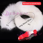 95cm Fox Tail Dog S