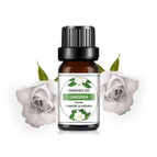 Gardenia