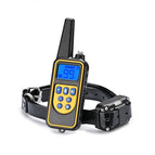 yellow dog training
