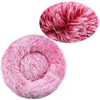Gradient rose / 80cm