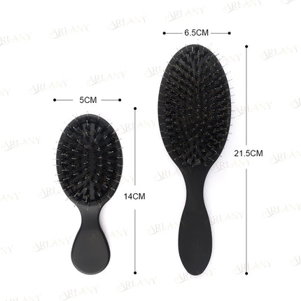 ARLANY Matte Boar Bristle Hair Extension Brush Kit Nylon Teeth Hair Brush Women Cushion Hairbrush Styling Smoothing Detangling