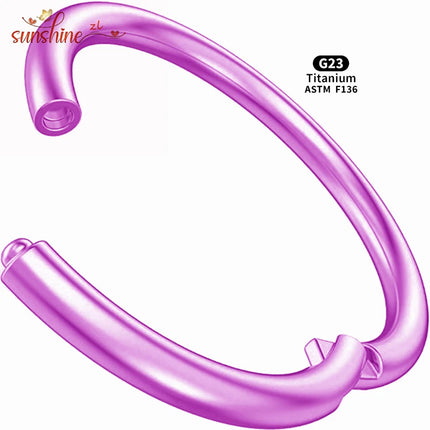 5PCS G23 Titanium Nose Piercing Implant Grade 12G 14G 16G 18G 20G Clicker Diaphragm Tragus Piercing Sexy Body Jewelry Wholesale