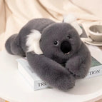 koala-65cm-1kg