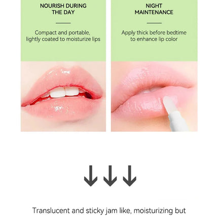 LEEINTO Honey Lip Balm Set Moisturizing Lip Balm Day and Night