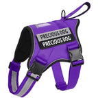 PURPLE / S