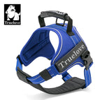 Royal blue / XS / China Mainland